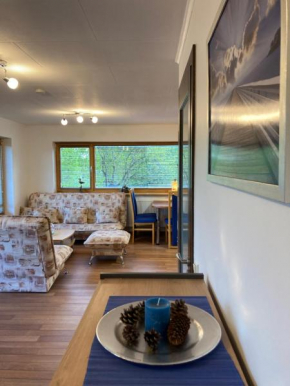 Apartamentas Kretingos 11